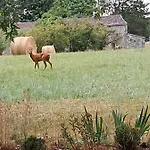 Le Maine