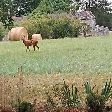 Le Maine